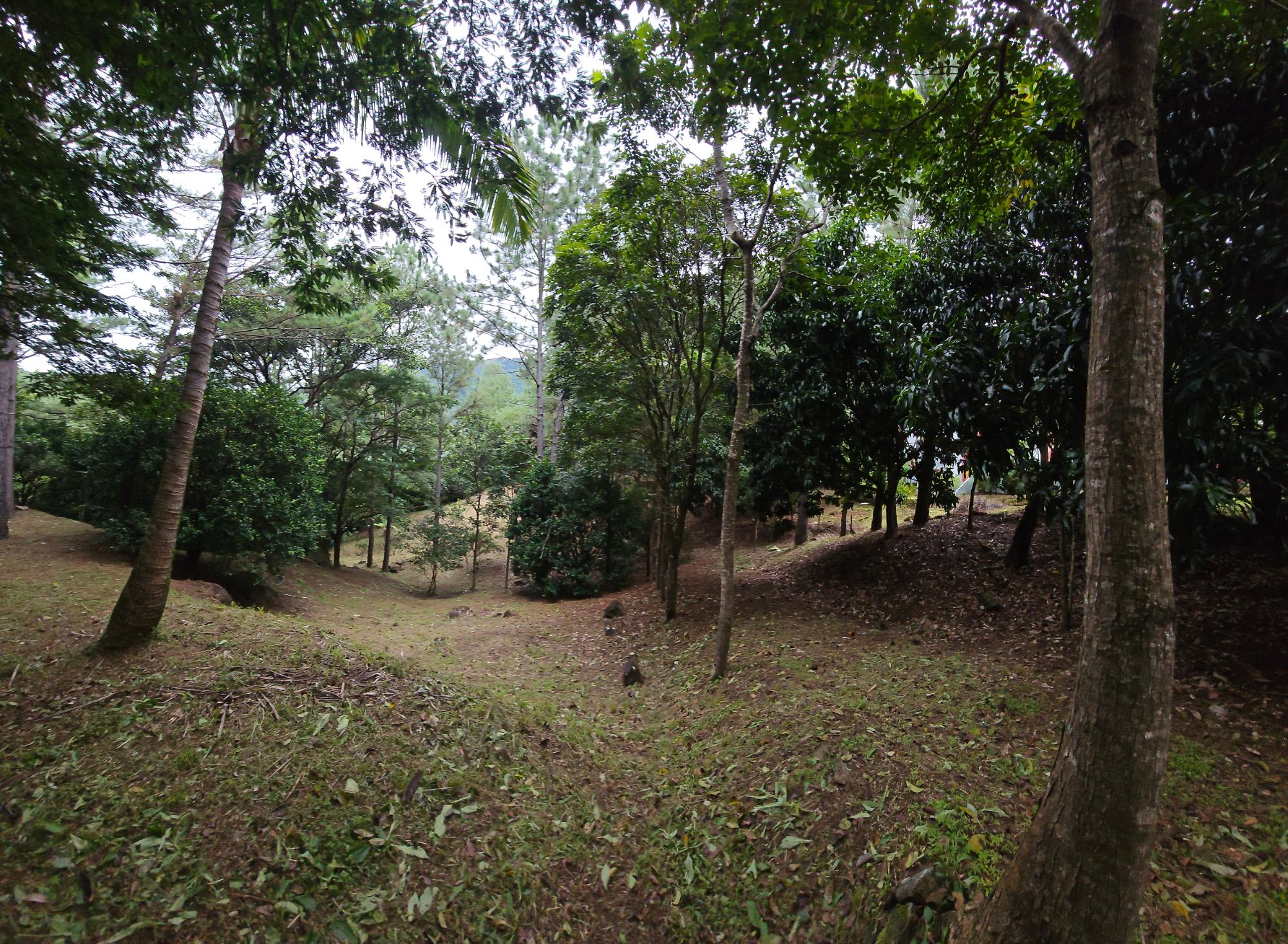 res-000055ee-07.jpg