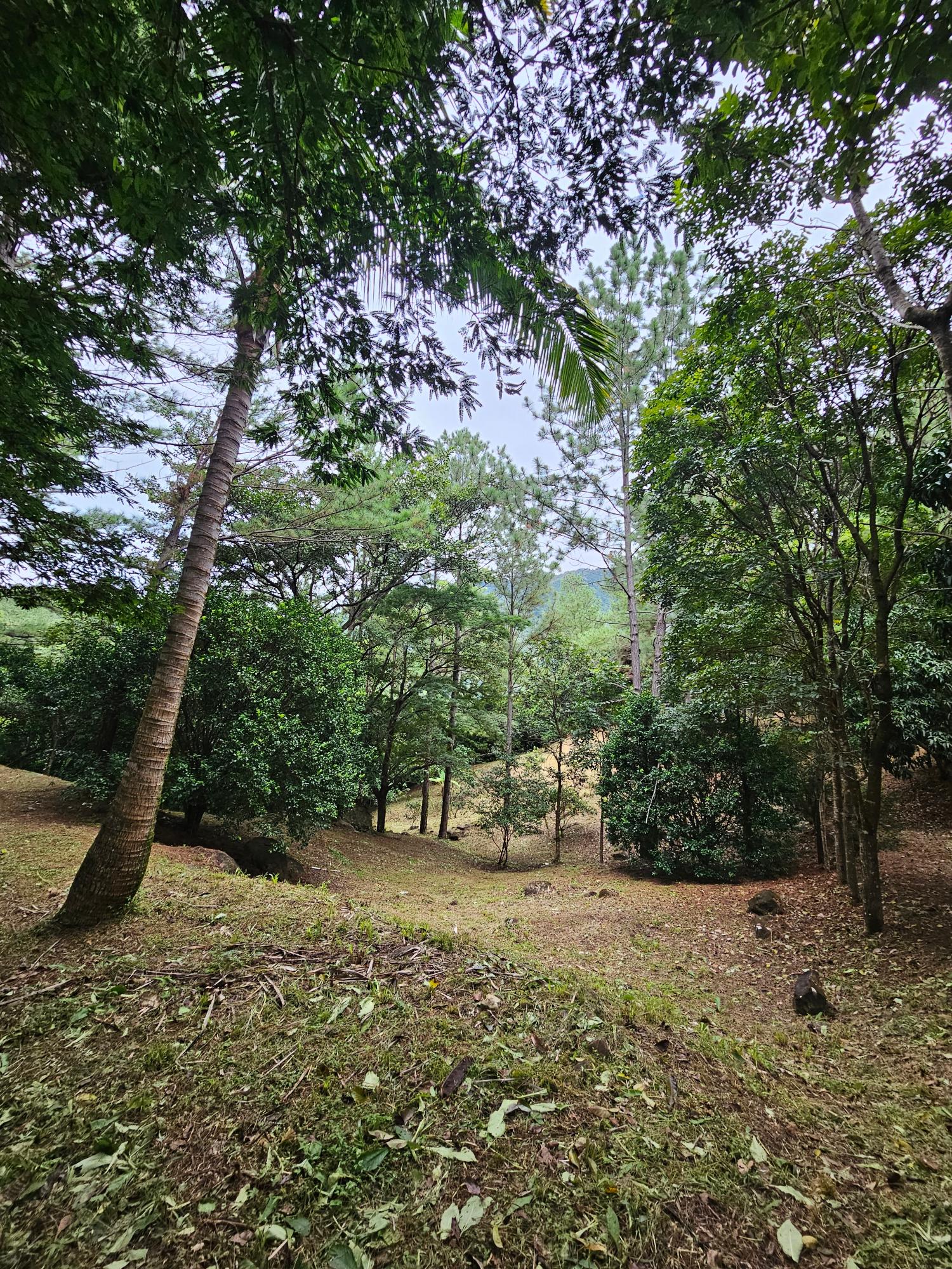res-000055ee-08.jpg