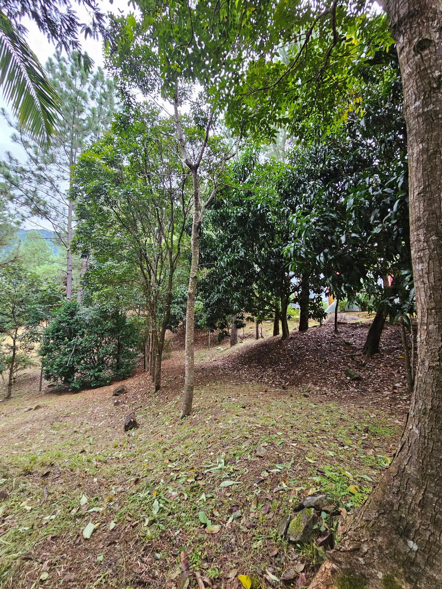 res-000055ee-09.jpg