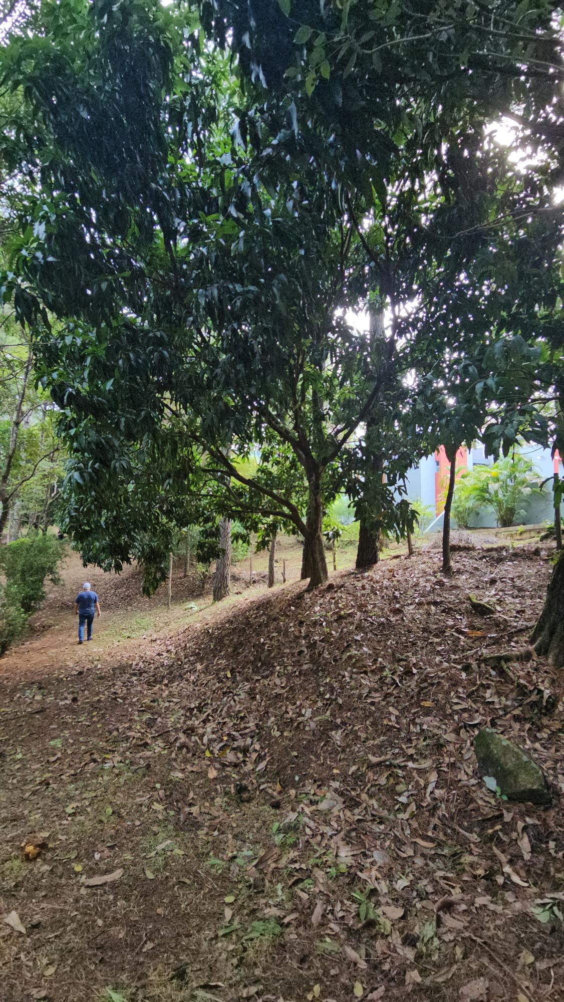 res-000055ee-11.jpg