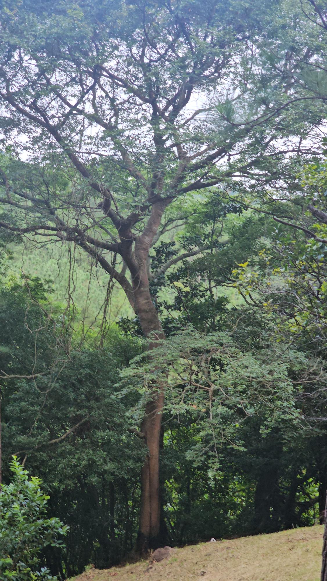 res-000055ee-12.jpg