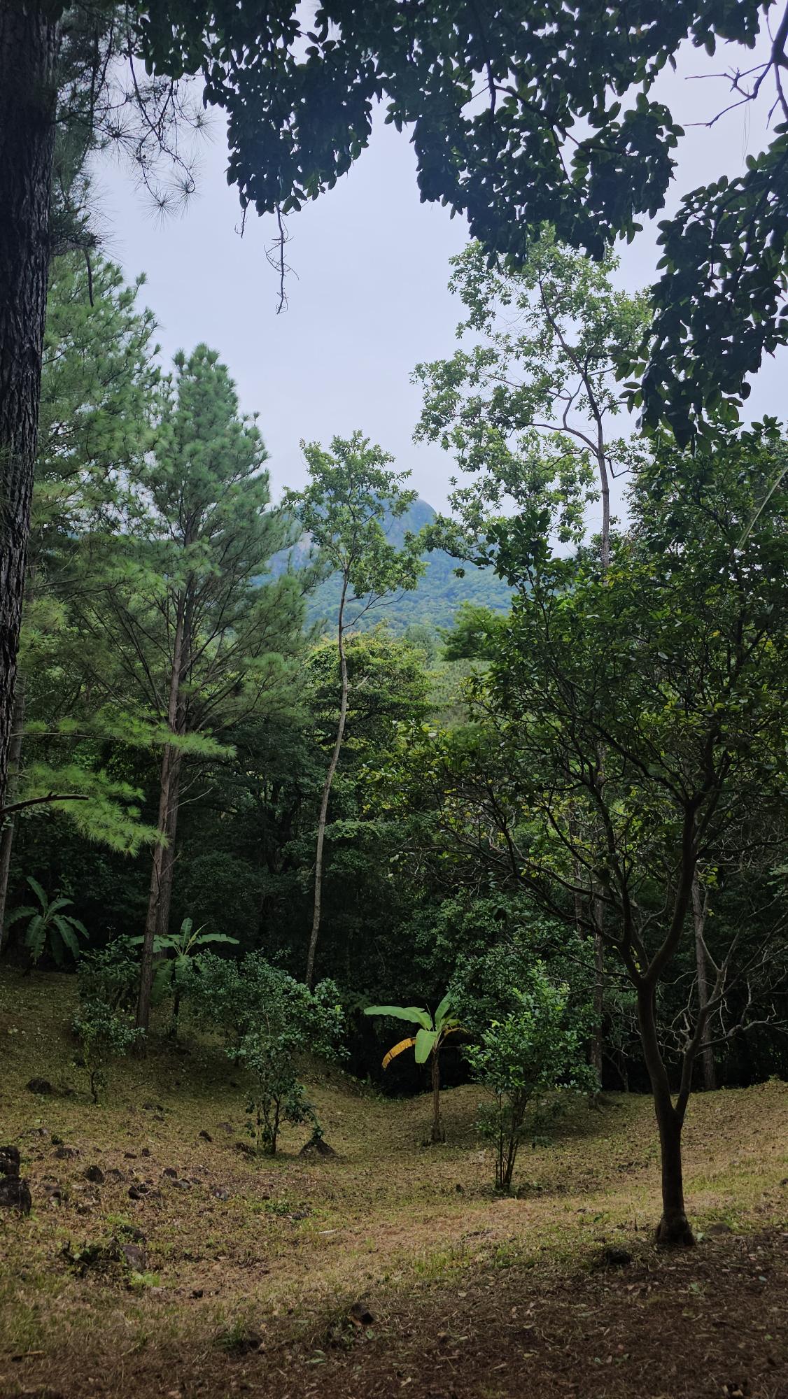 res-000055ee-13.jpg