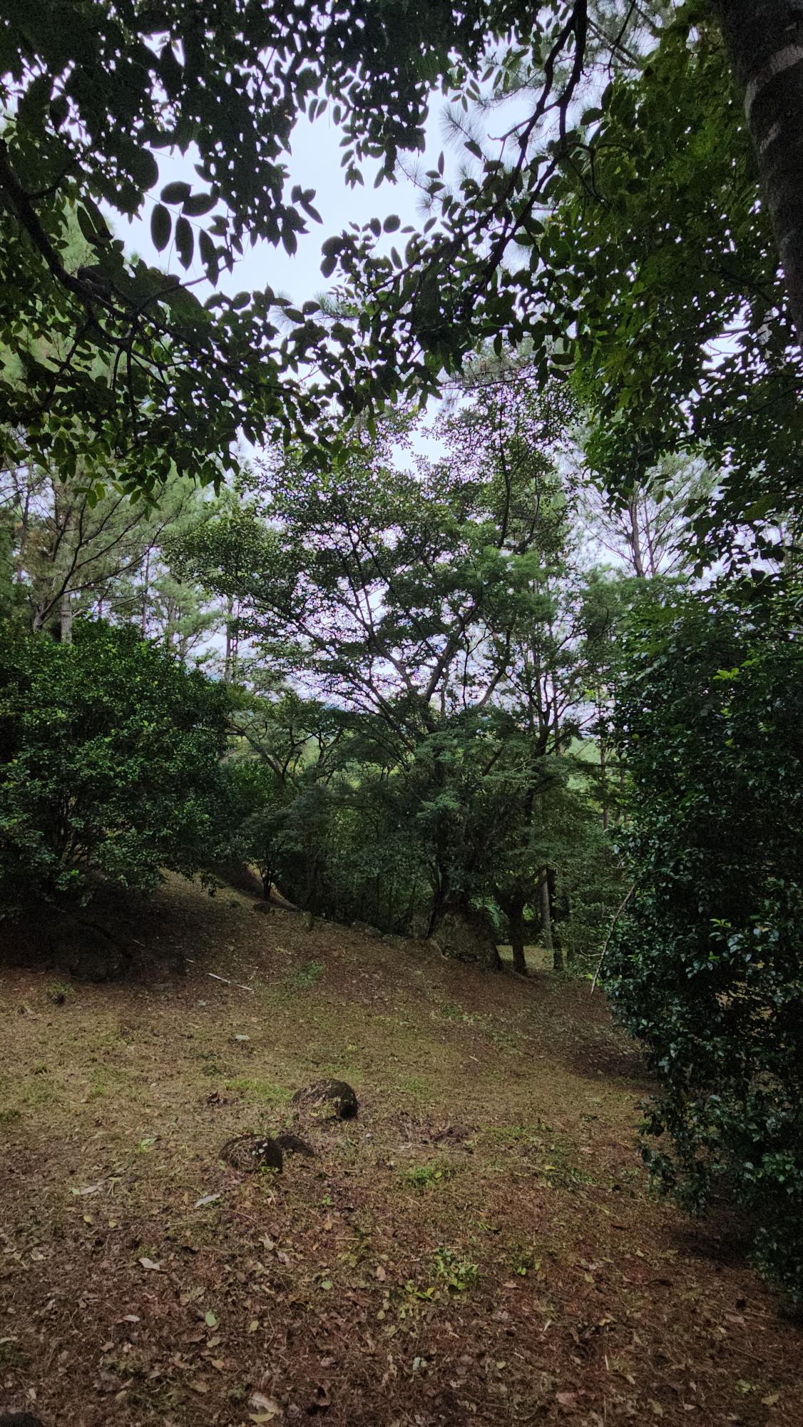 res-000055ee-15.jpg