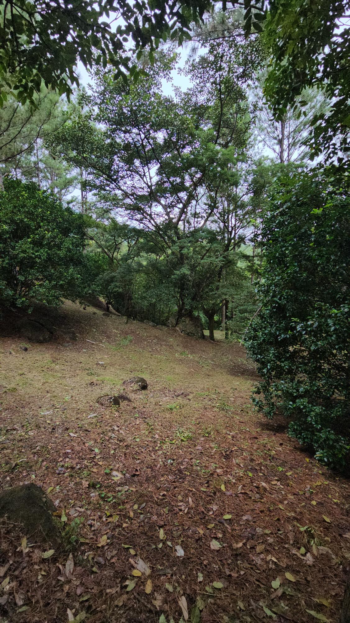 res-000055ee-16.jpg