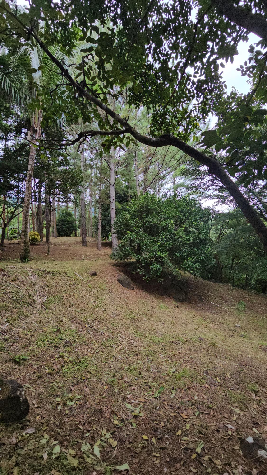 res-000055ee-17.jpg