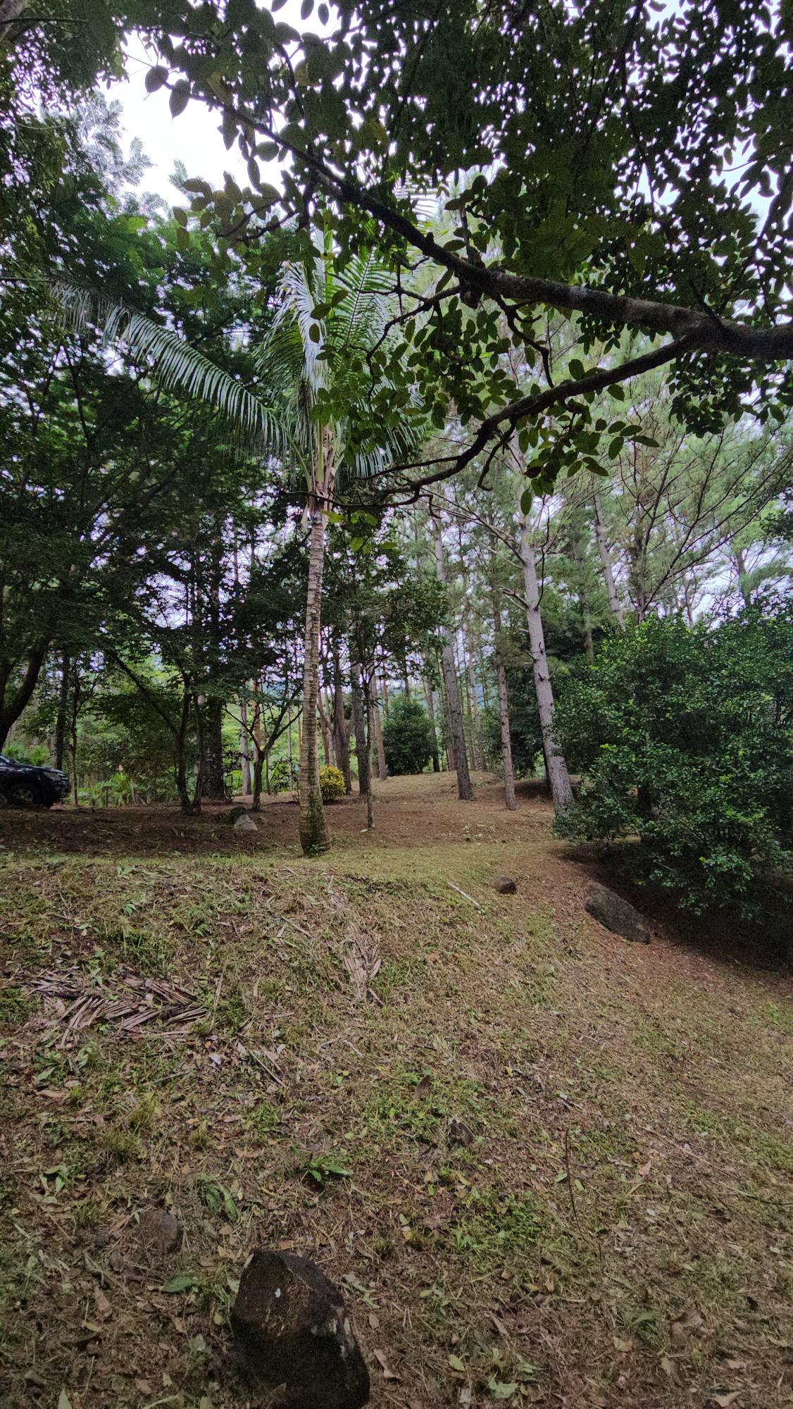 res-000055ee-18.jpg