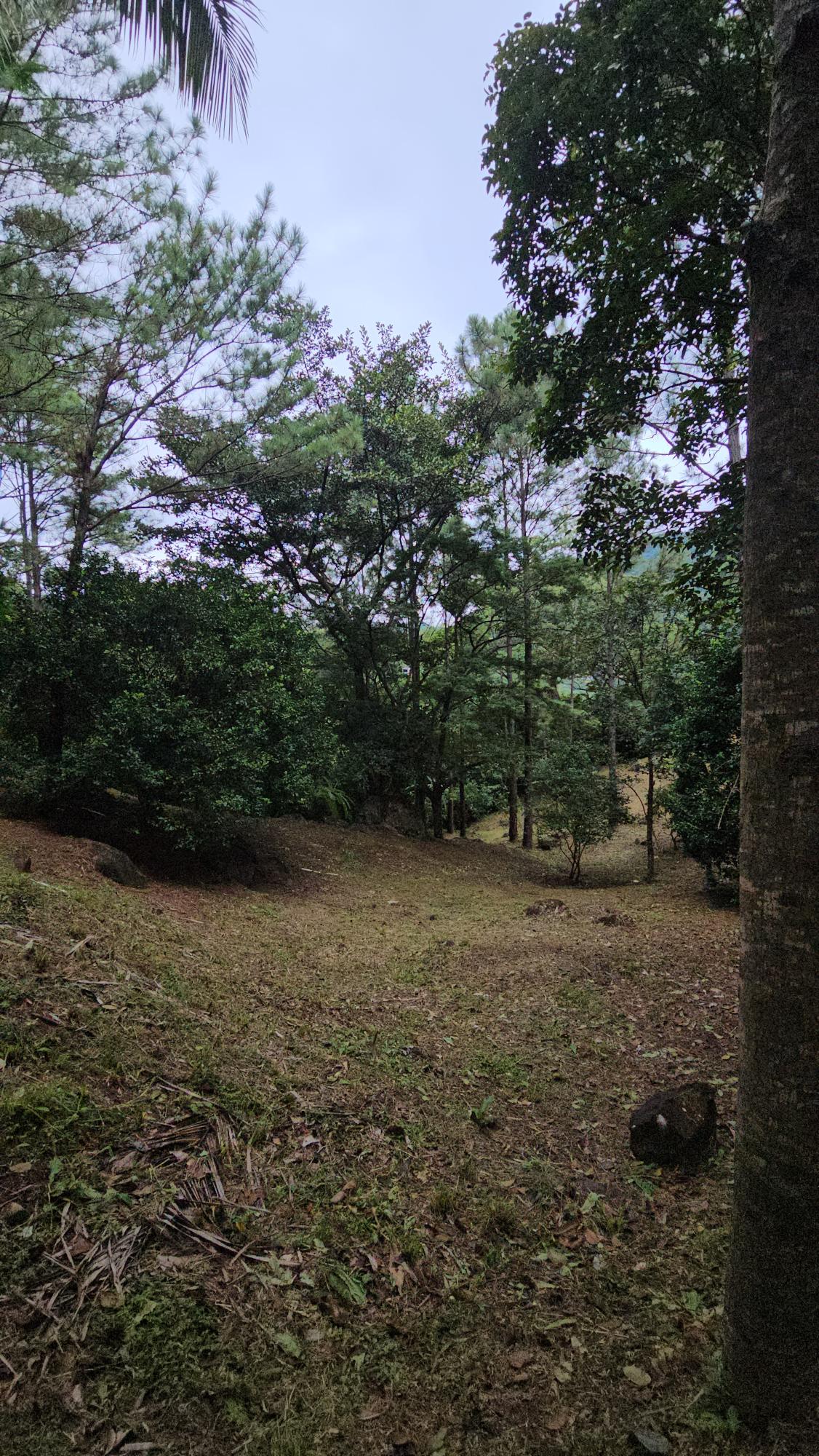 res-000055ee-19.jpg