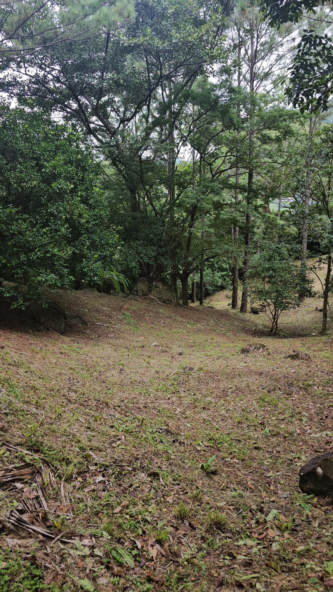res-000055ee-20.jpg
