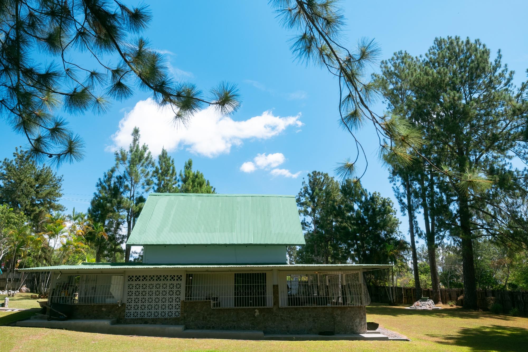 res-00005612-02.jpg
