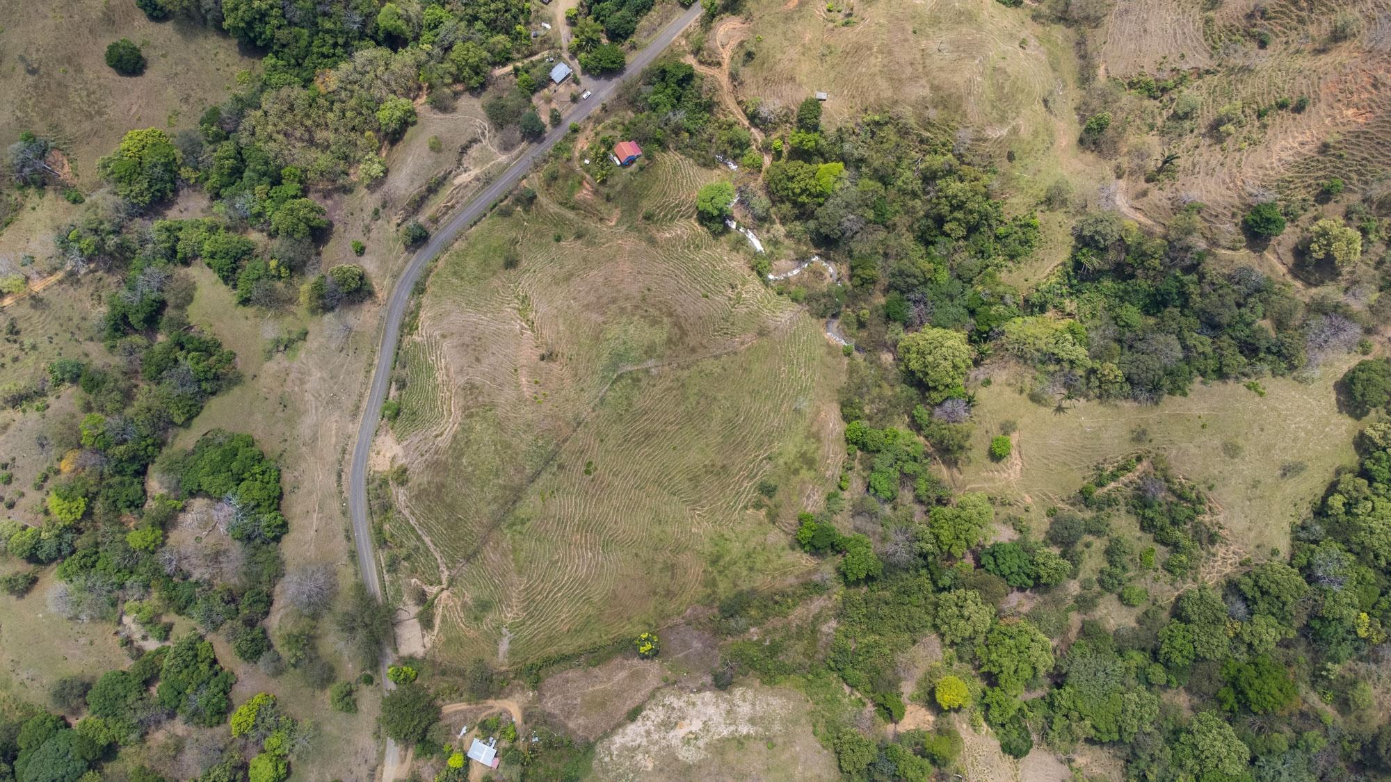 res-00005619-12.jpg