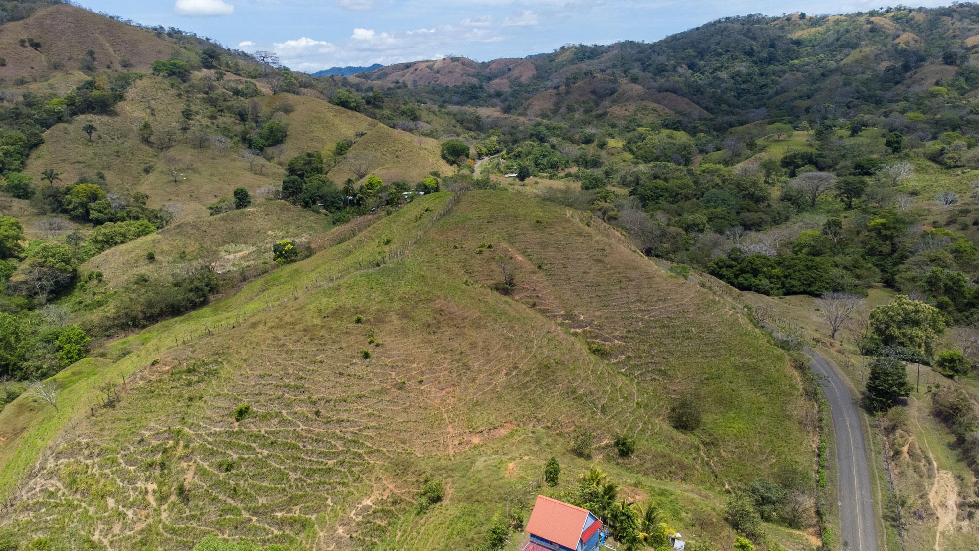 res-00005619-15.jpg