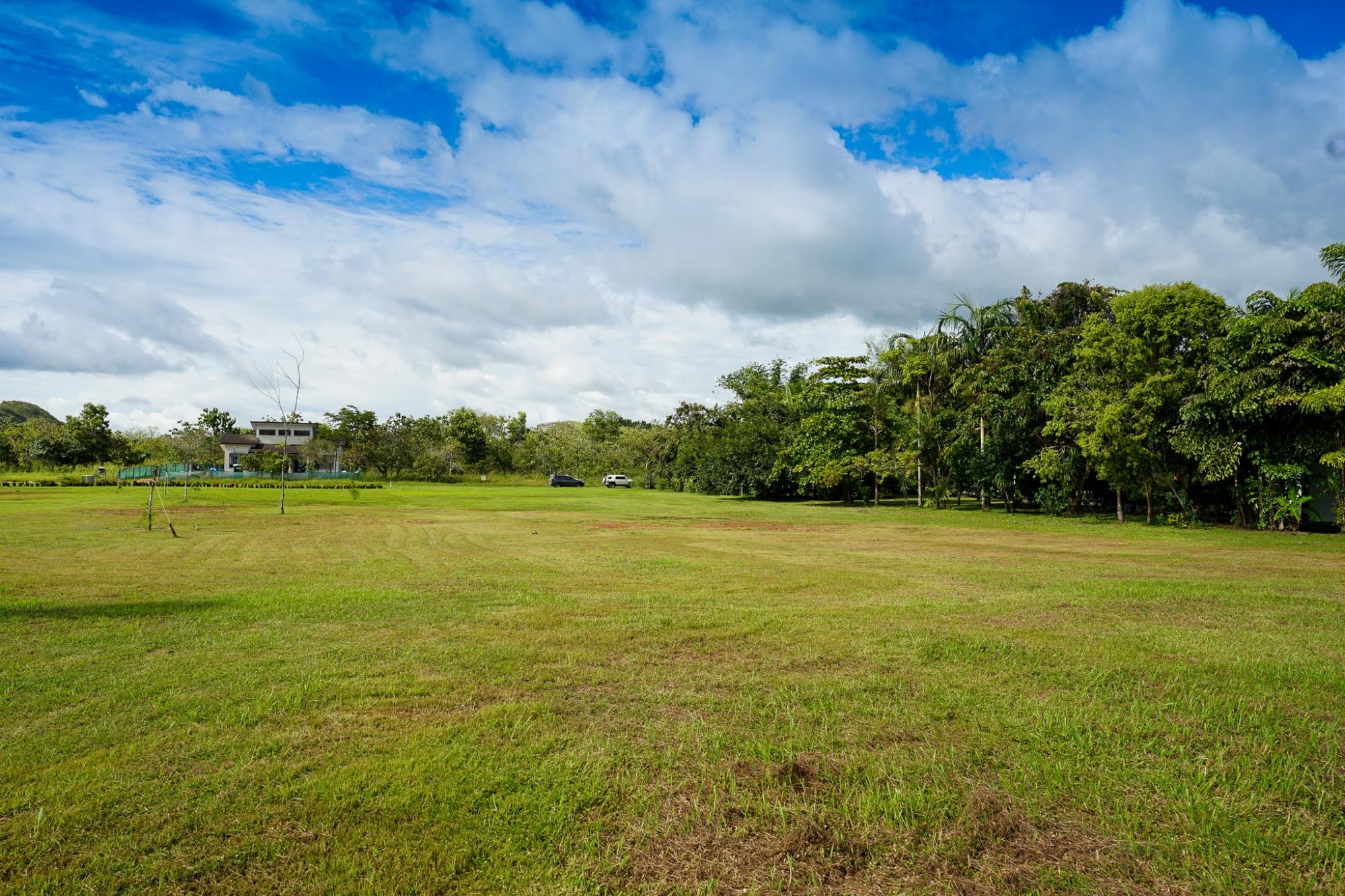 res-00005682-06.jpg