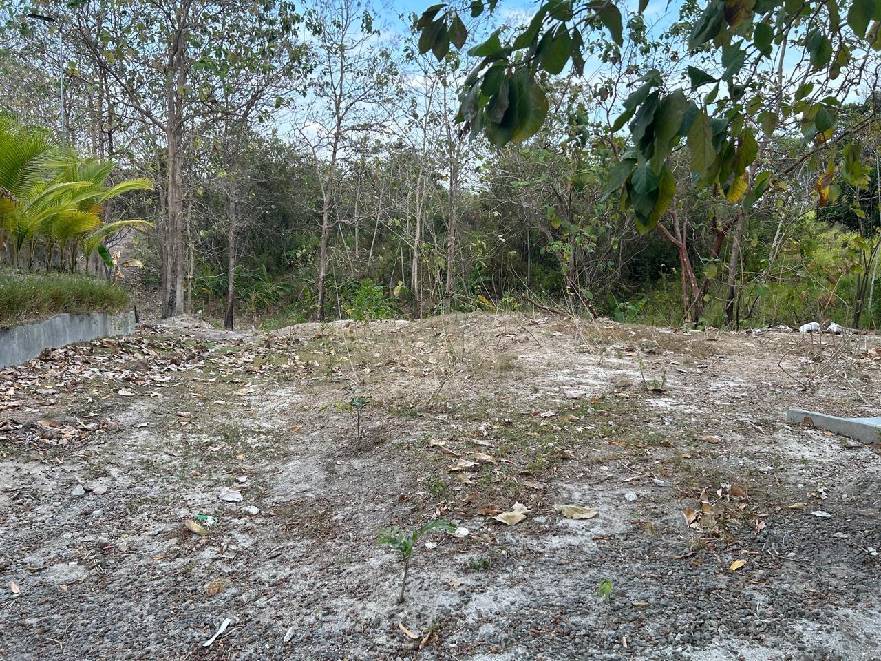 res-000056b9-01.jpg