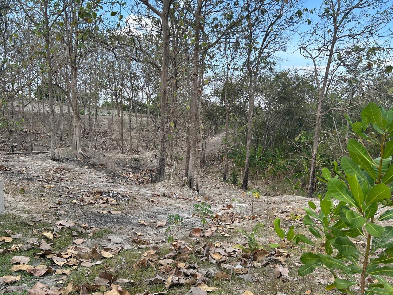 res-000056b9-02.jpg