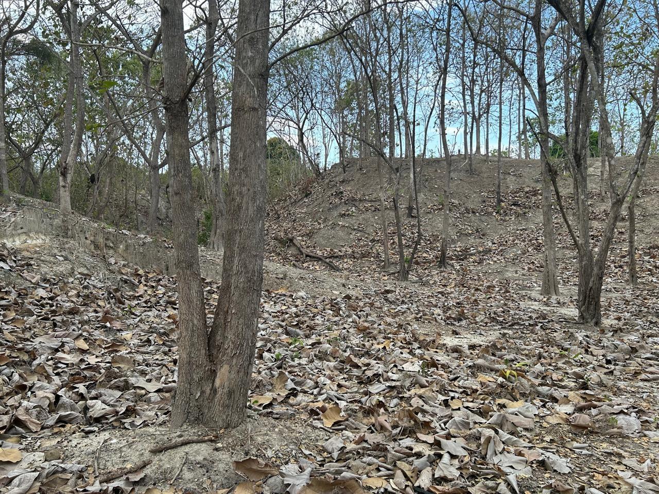 res-000056b9-03.jpg