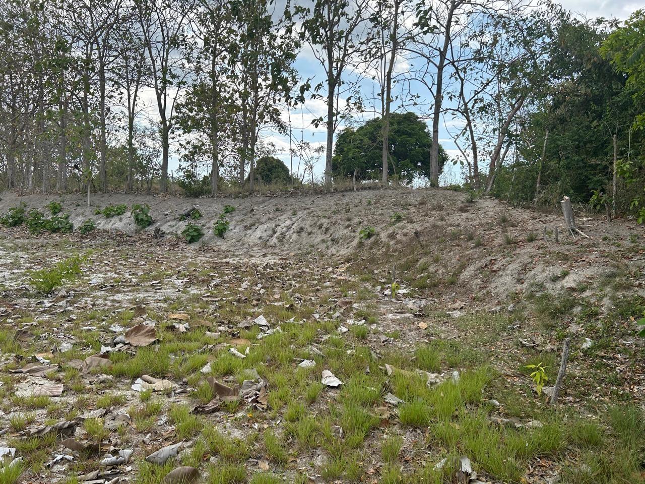 res-000056b9-04.jpg