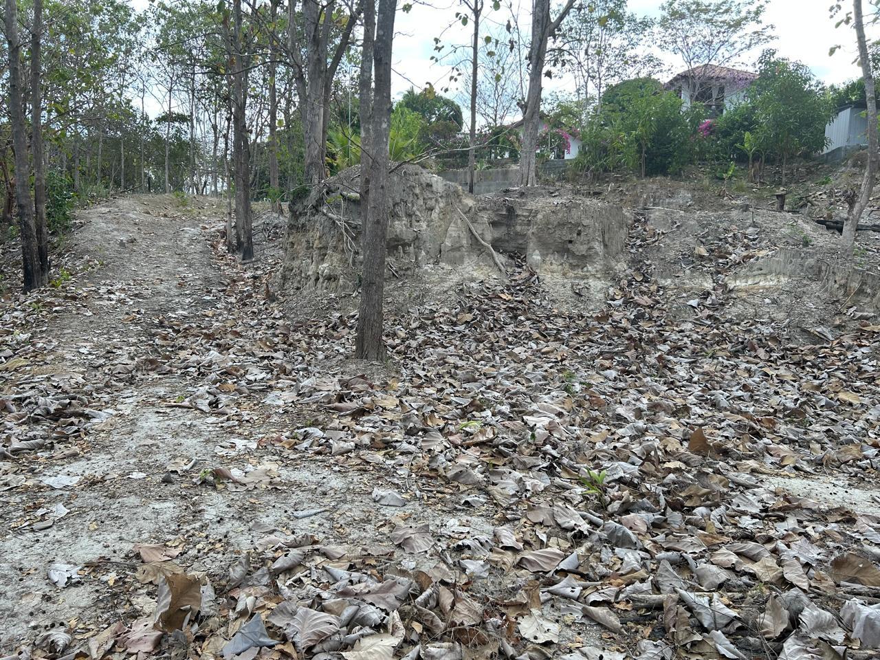 res-000056b9-06.jpg
