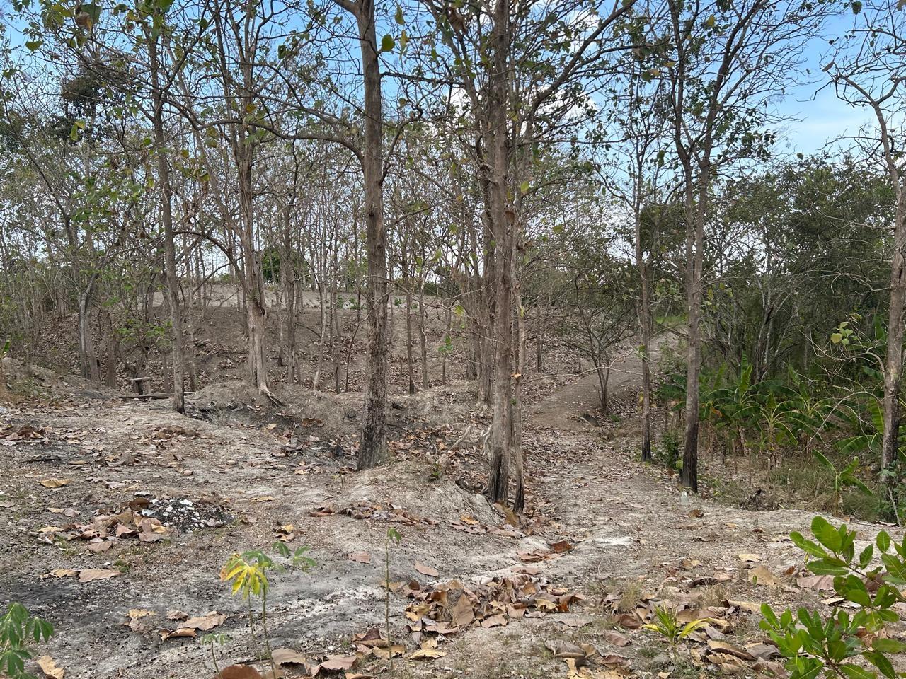 res-000056b9-07.jpg