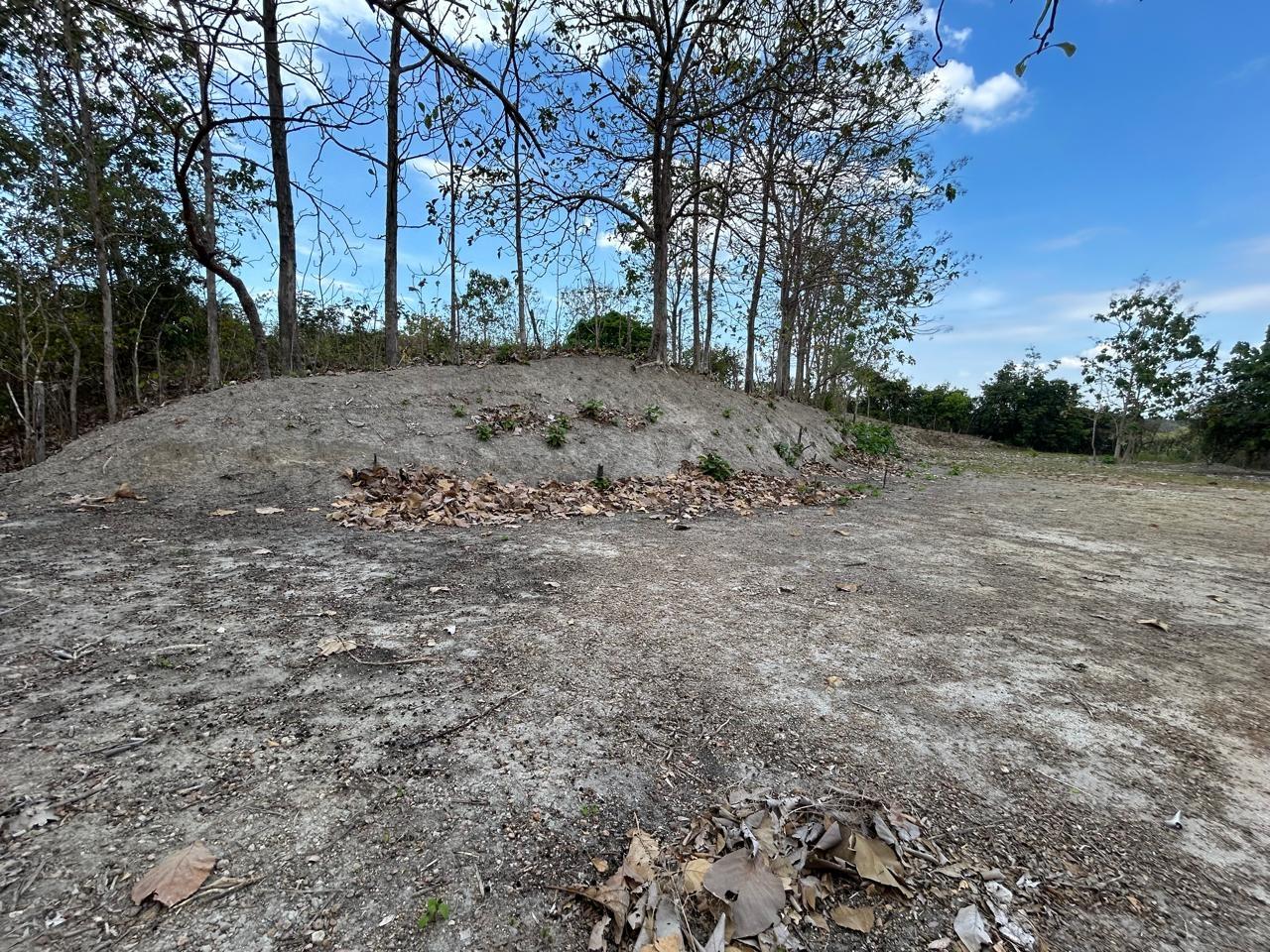 res-000056b9-08.jpg