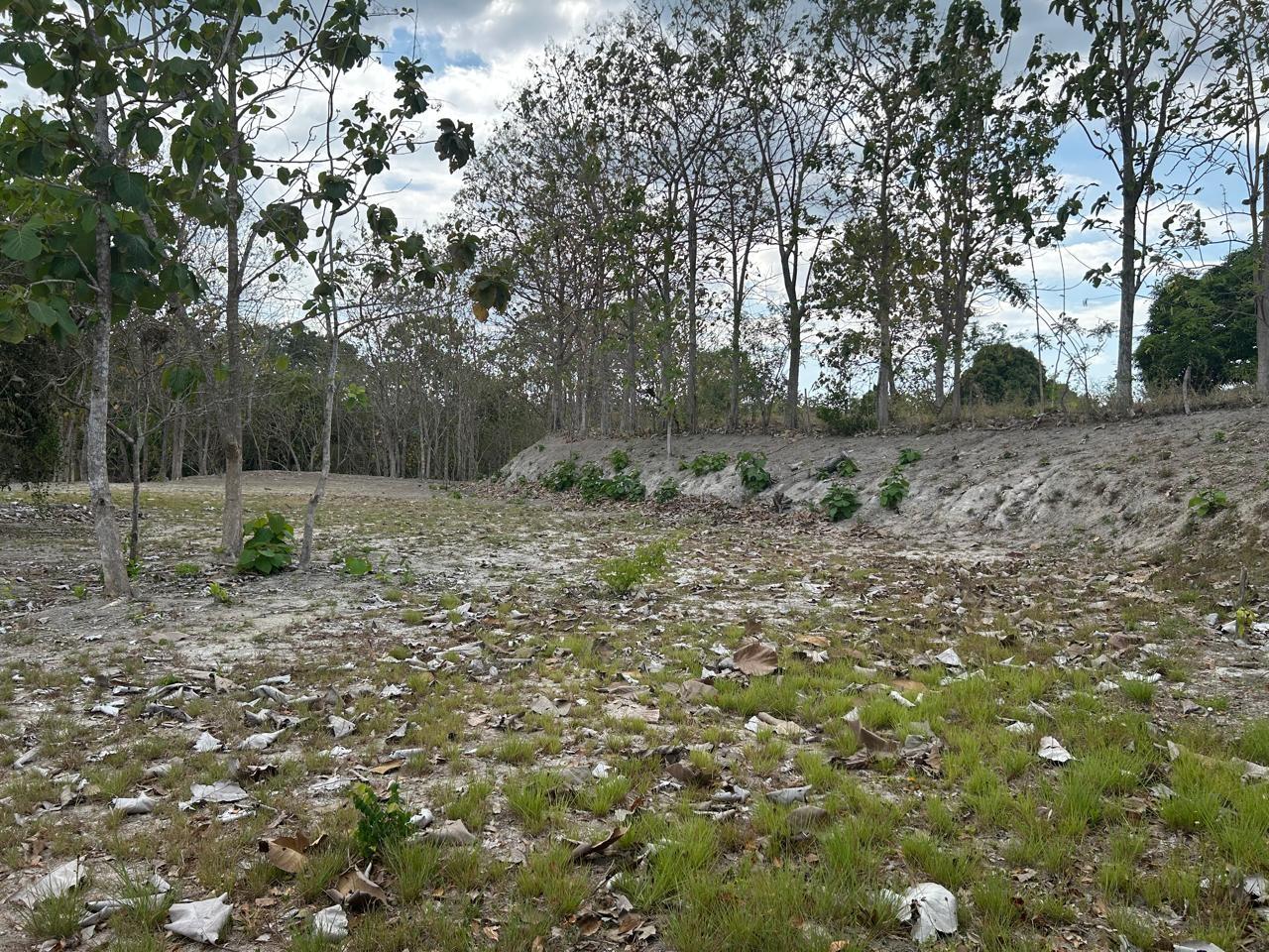 res-000056b9-10.jpg