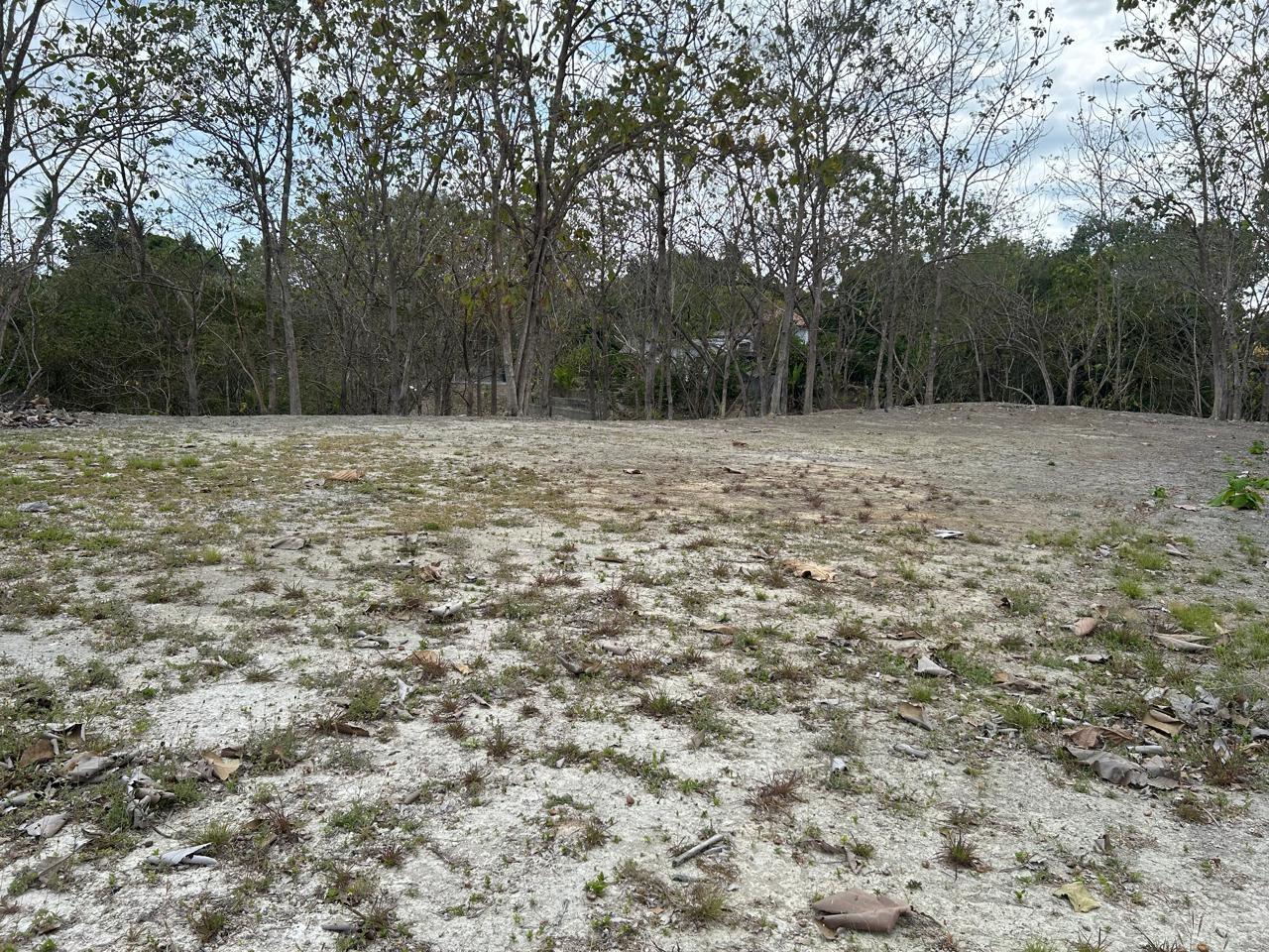 res-000056b9-11.jpg