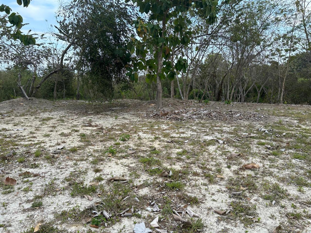 res-000056b9-13.jpg