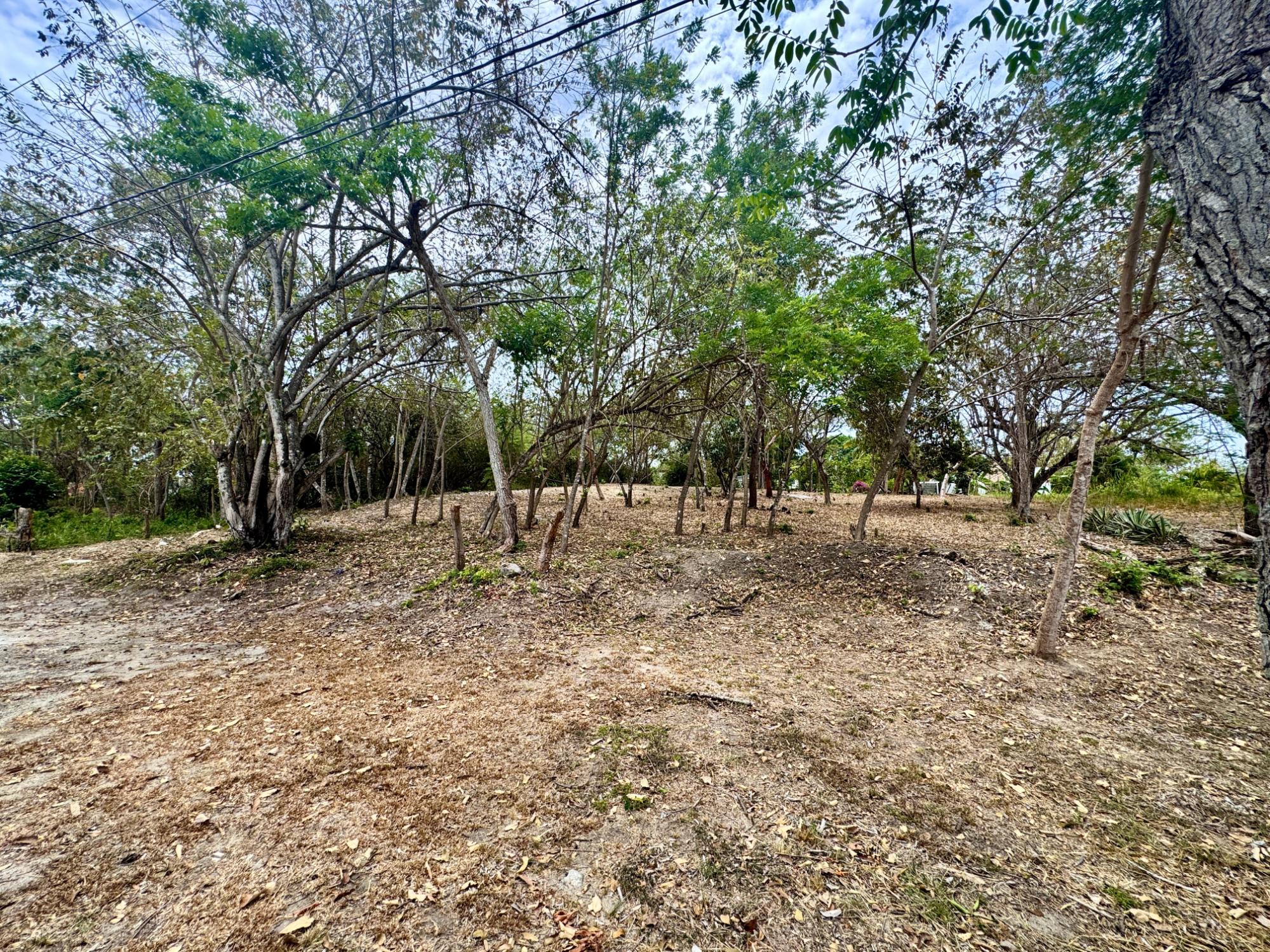 res-00005737-03.jpg