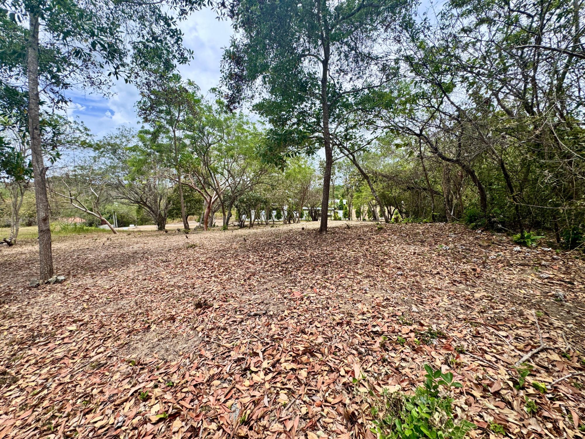 res-00005737-08.jpg