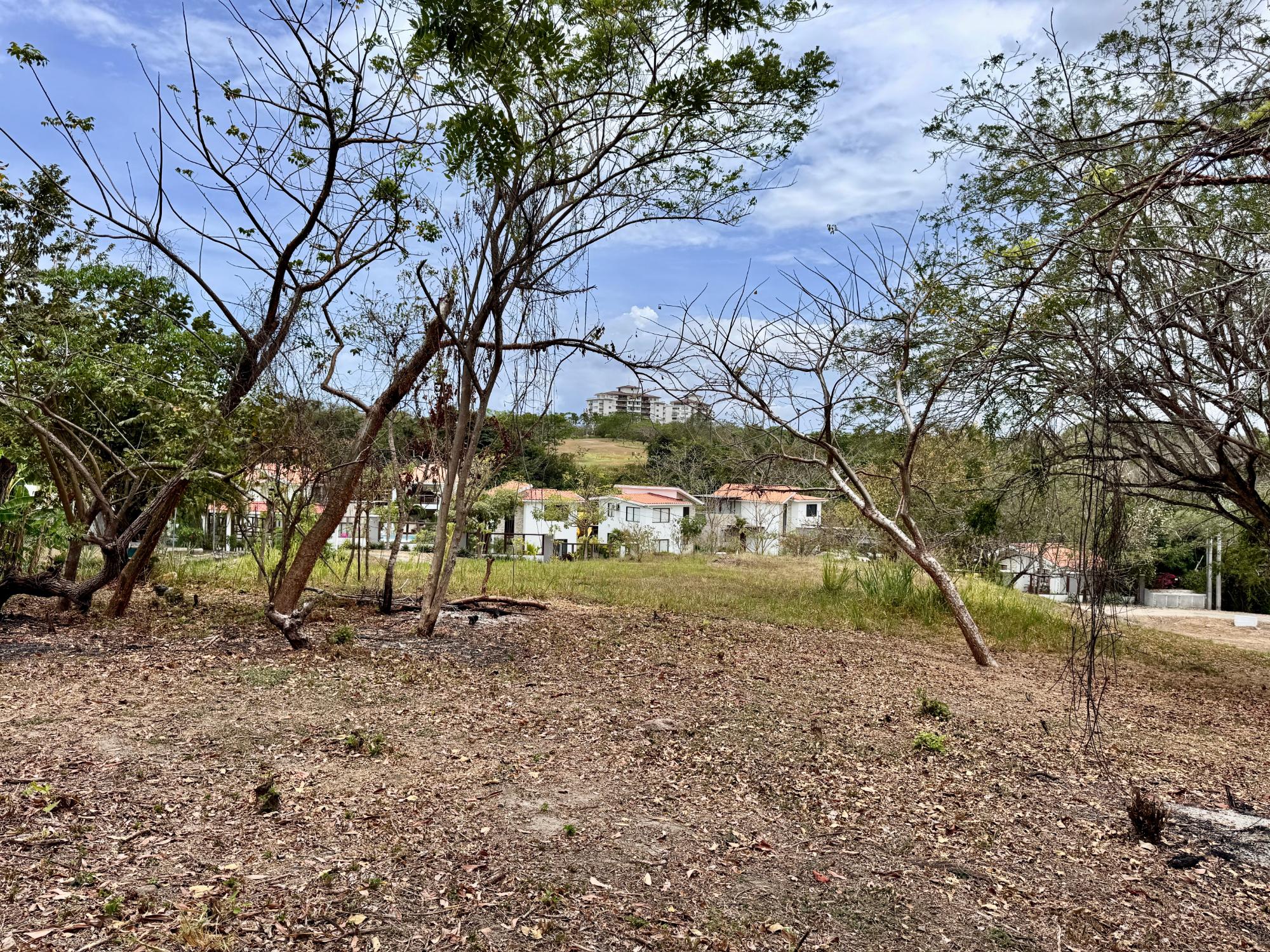 res-00005737-10.jpg