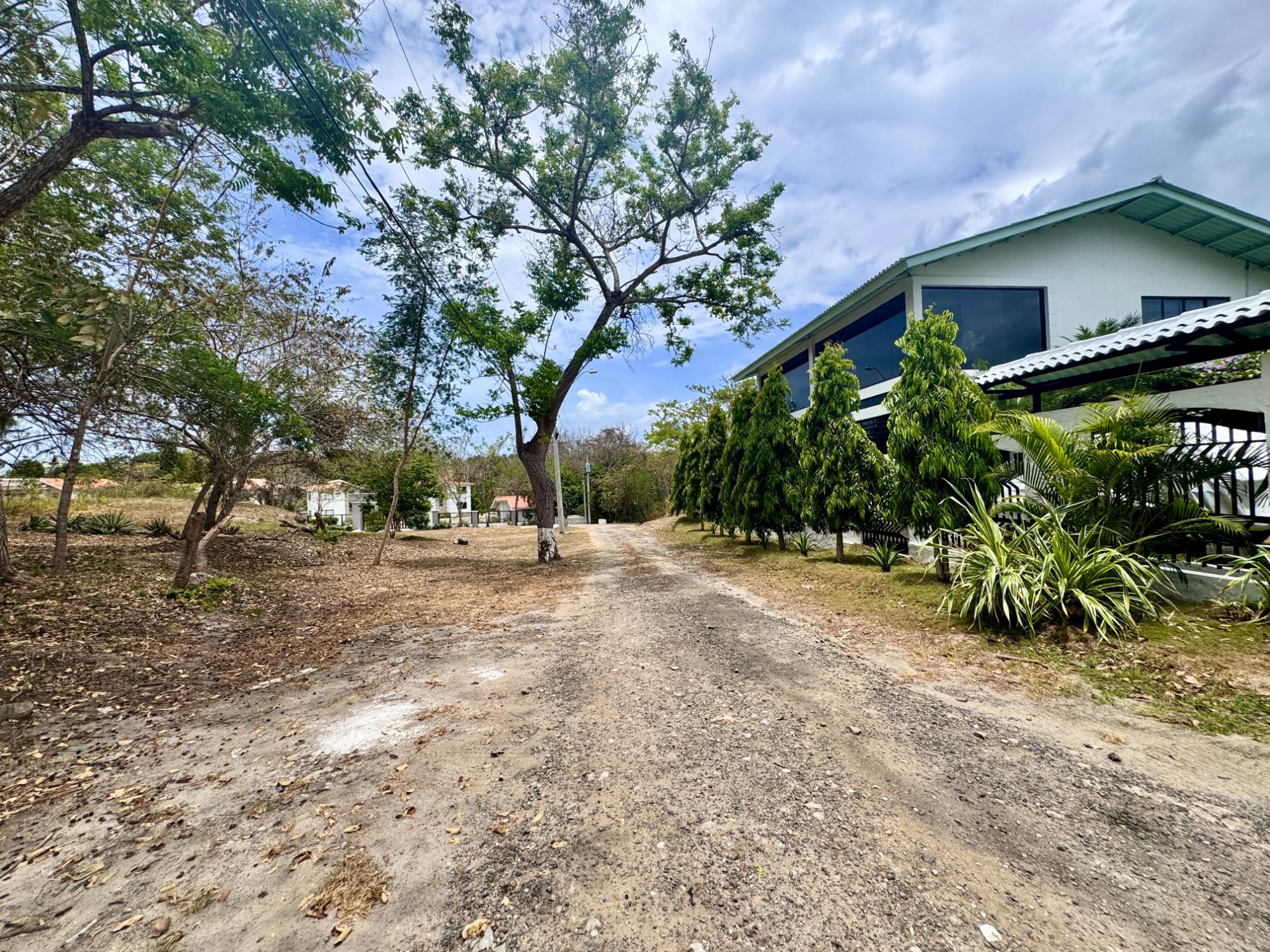 res-00005737-11.jpg