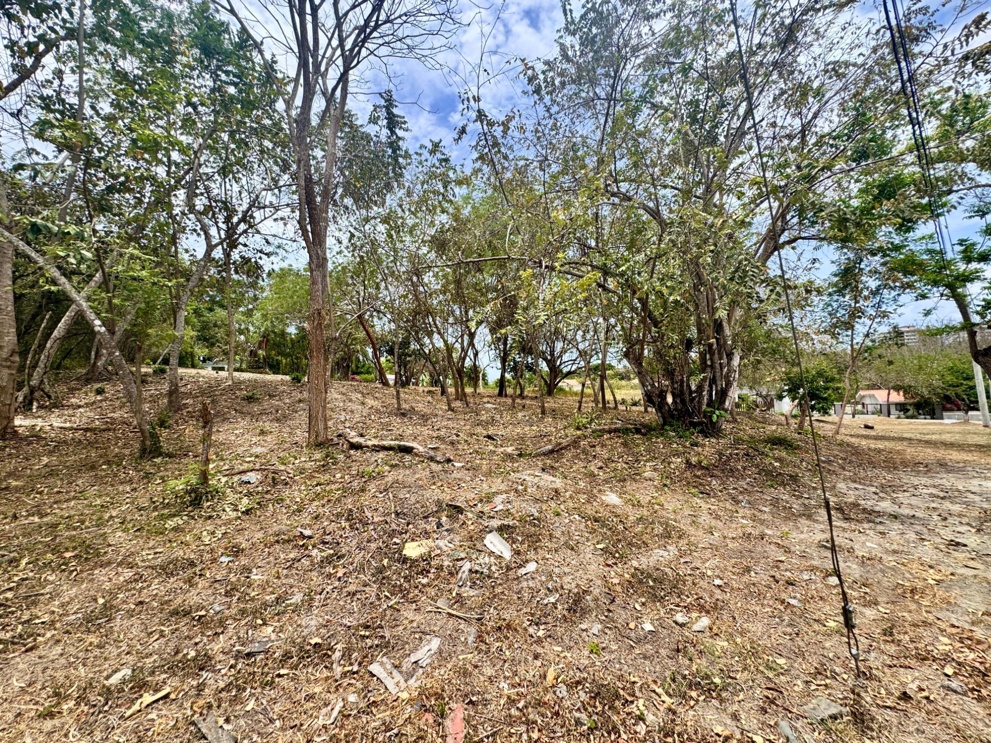 res-00005737-12.jpg
