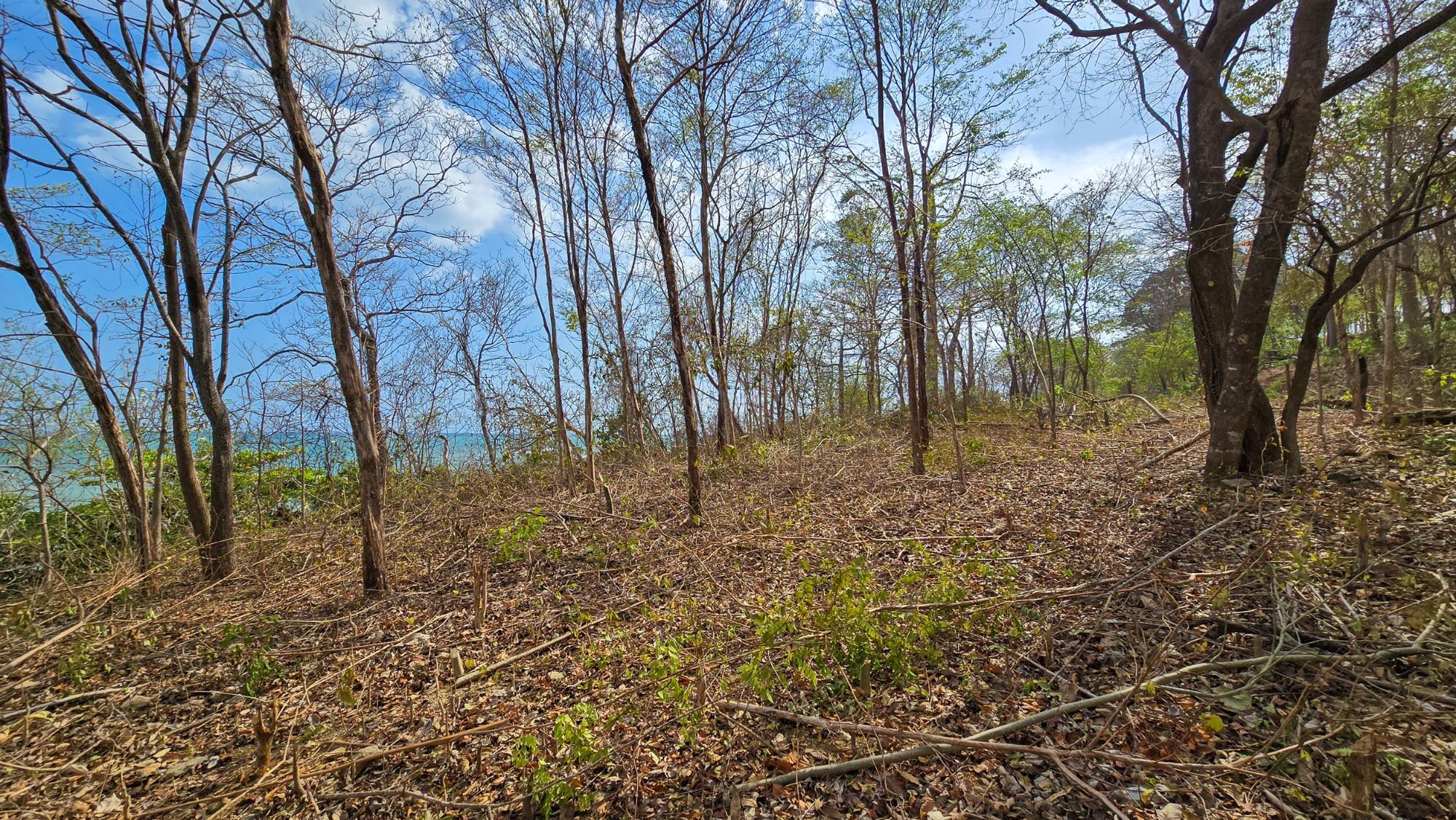 res-00005757-04.jpg