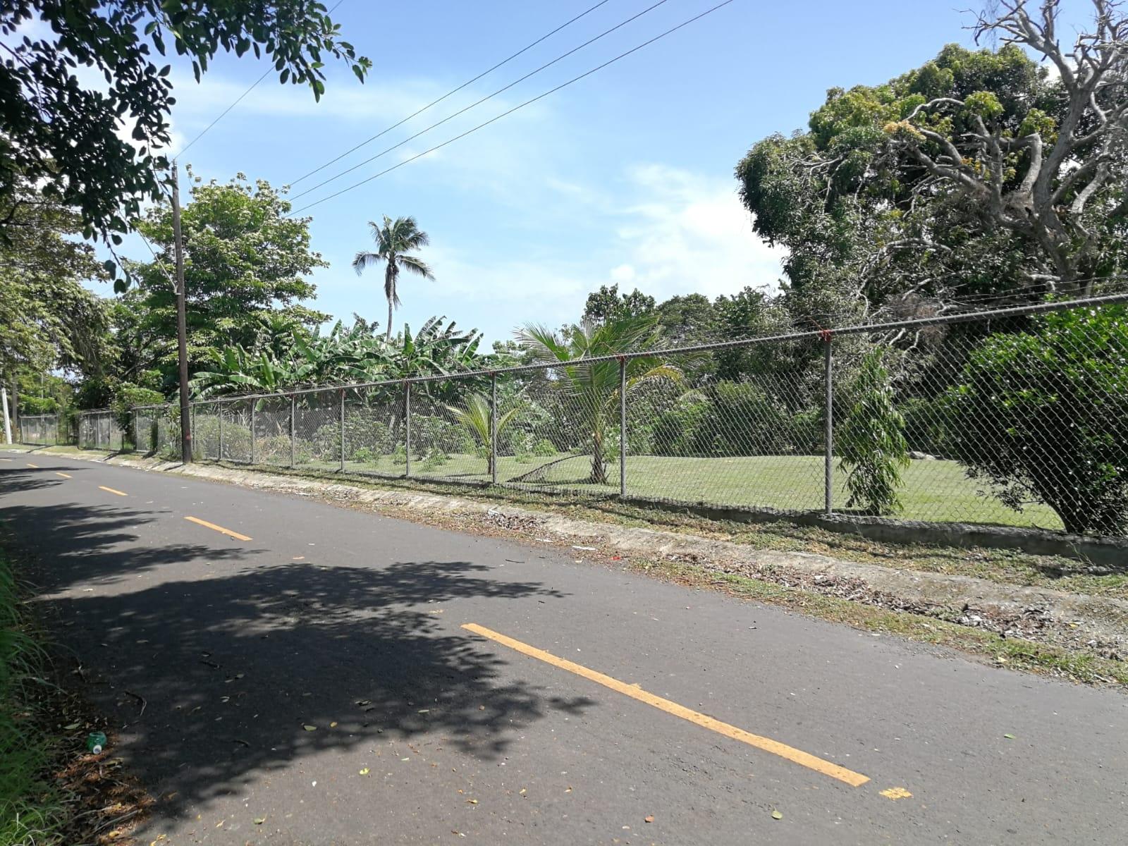 res-000057ac-03.jpg