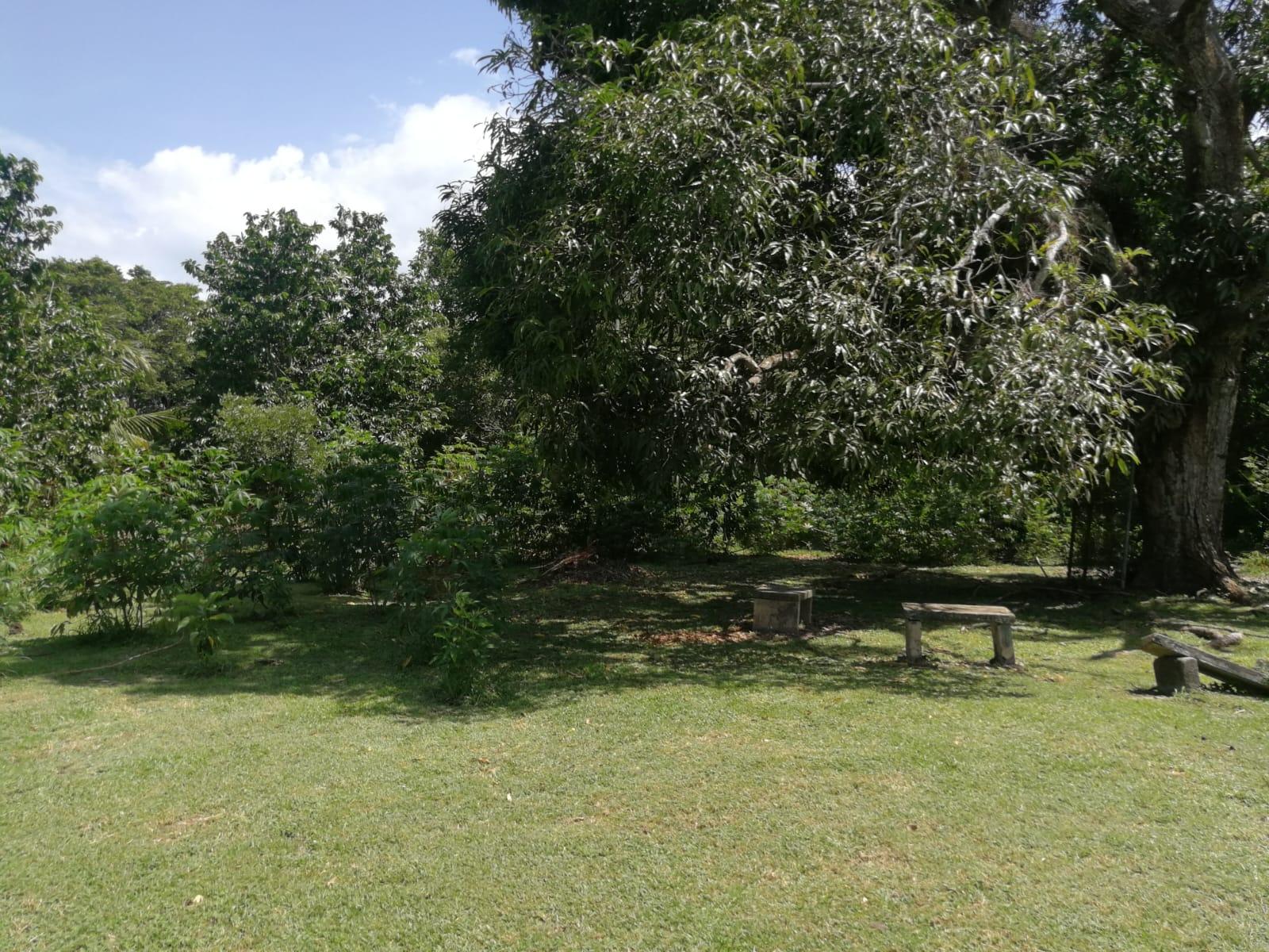 res-000057ac-04.jpg