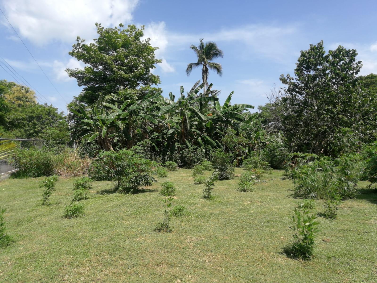 res-000057ac-05.jpg