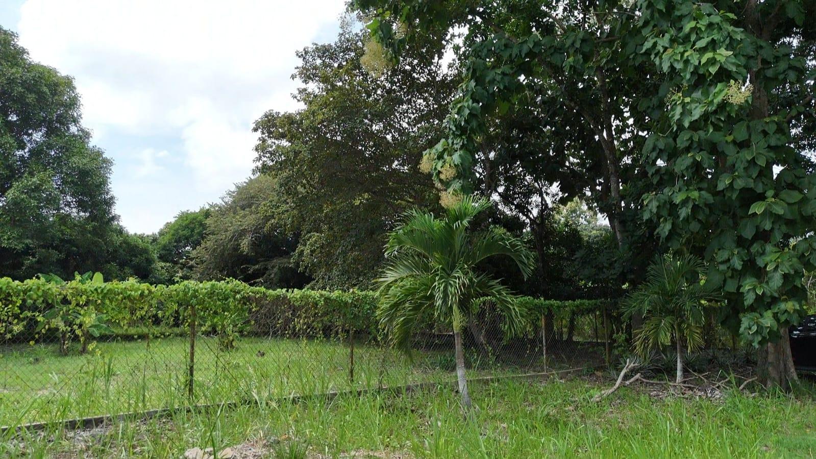 res-0000585b-07.jpg