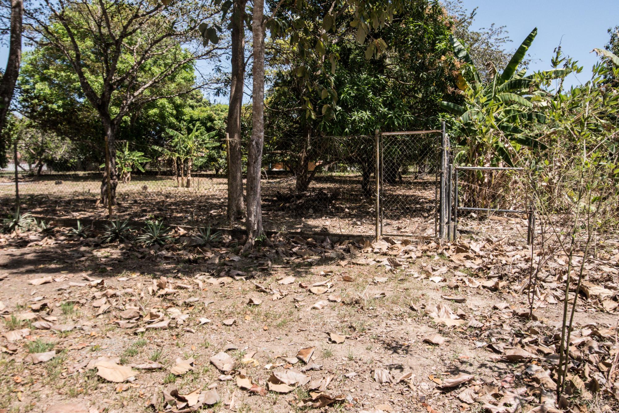 res-0000585b-10.jpg