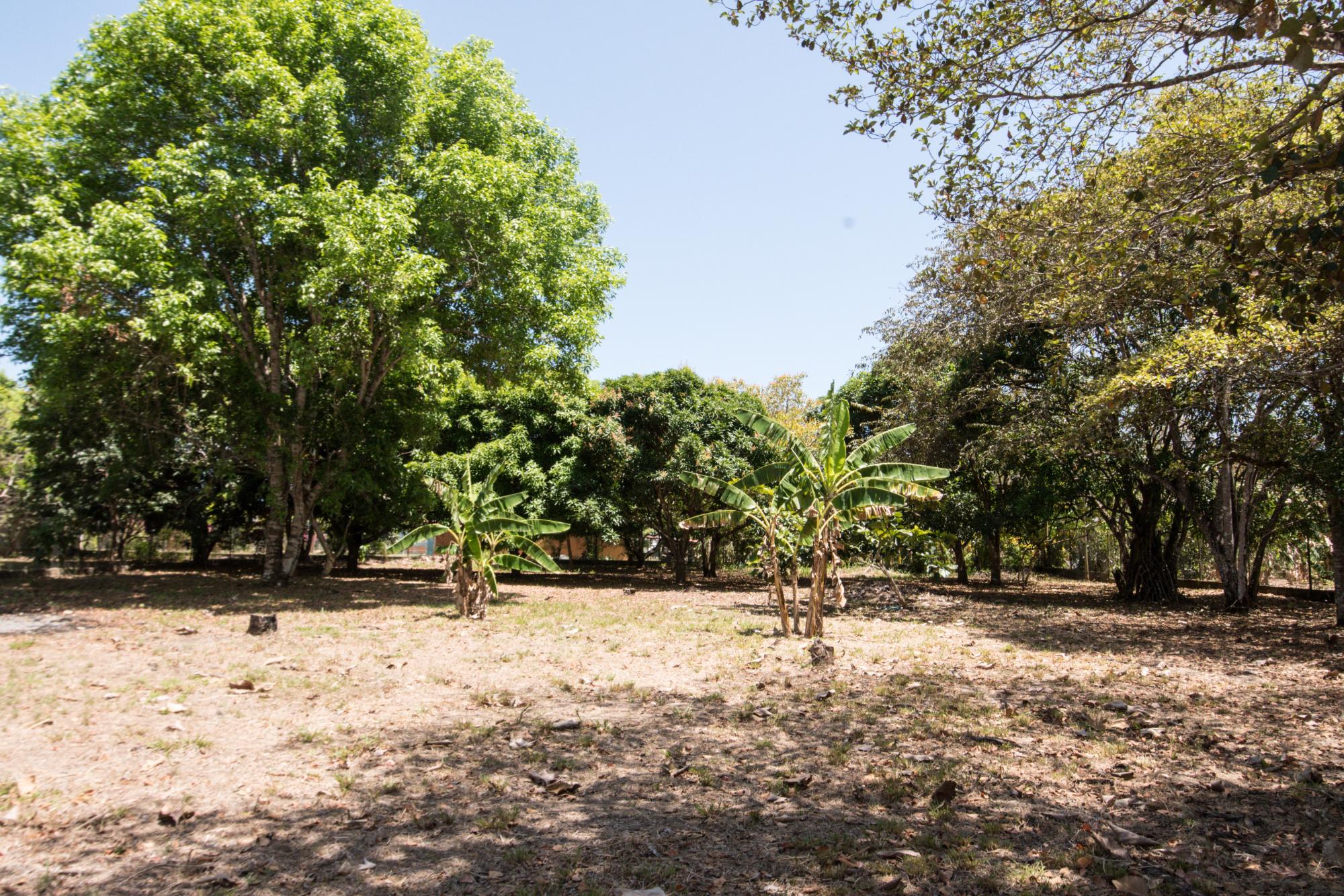 res-0000585b-19.jpg
