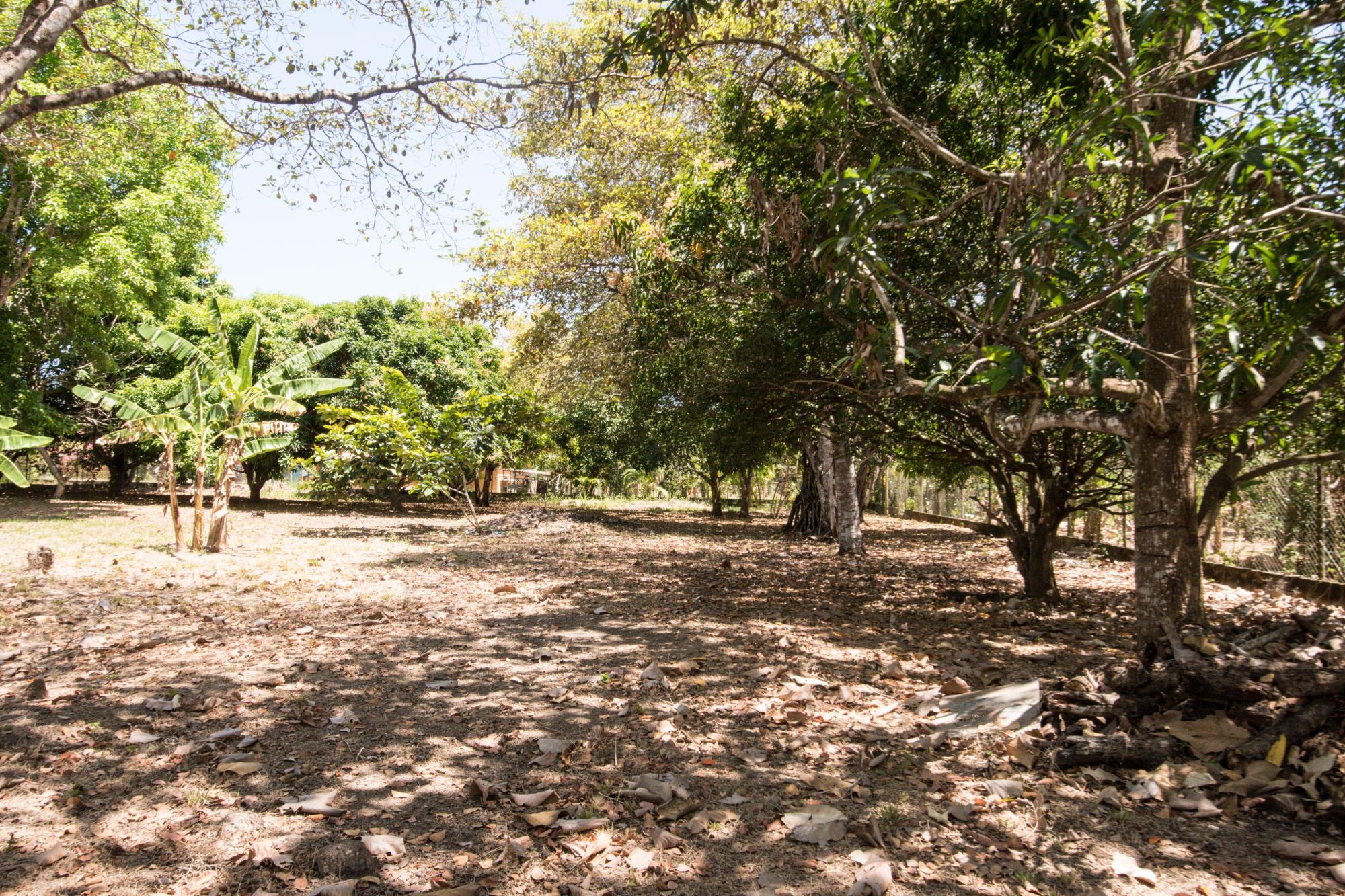 res-0000585b-20.jpg
