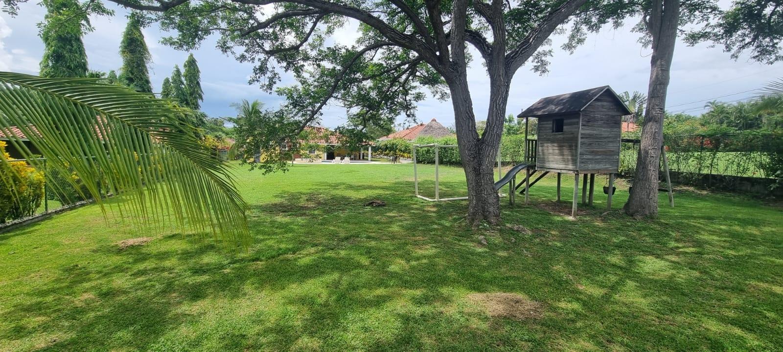 res-0000589c-03.jpg