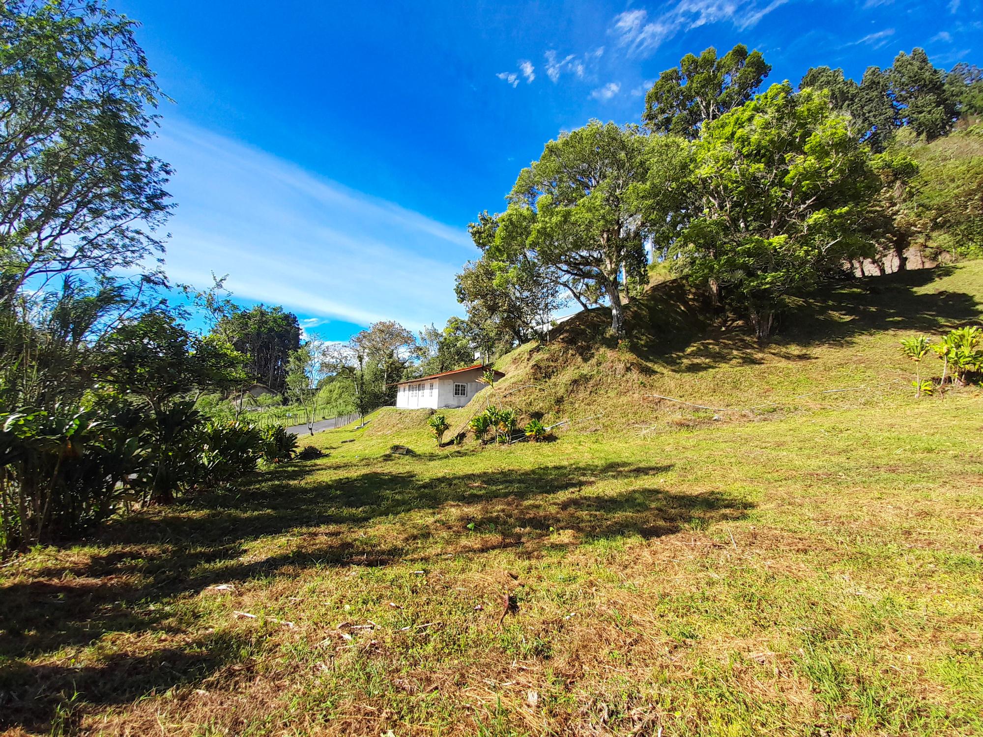res-000058d8-05.jpg