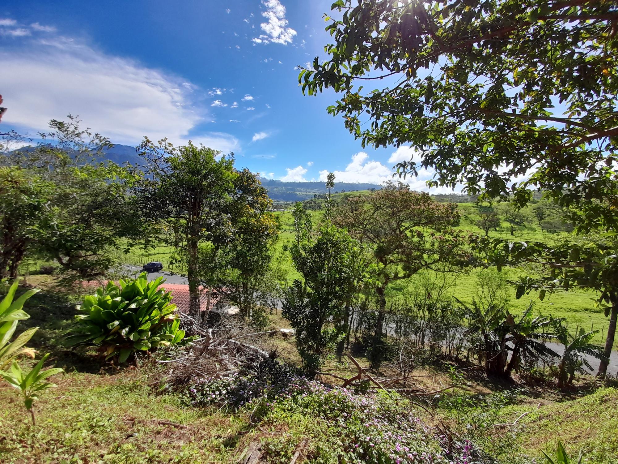 res-000058d8-16.jpg