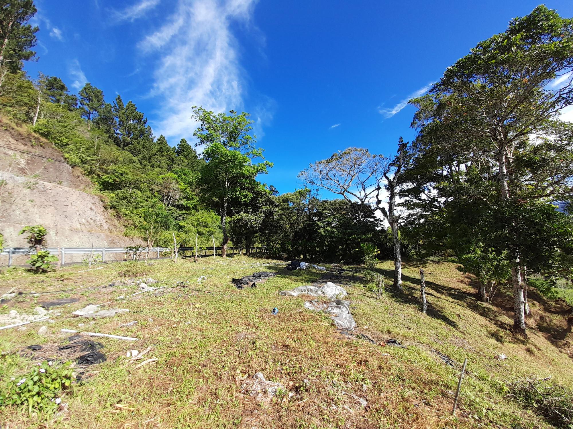res-000058d8-17.jpg