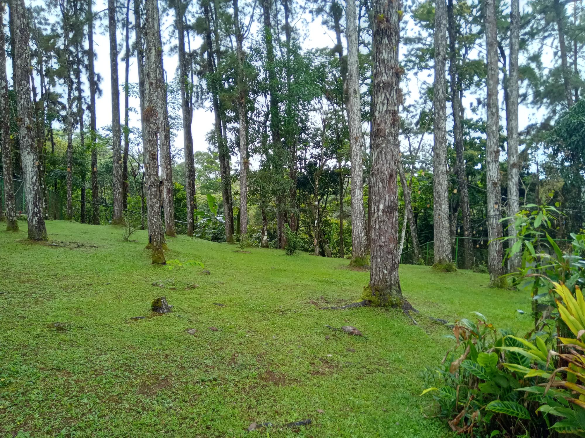 res-0000593f-04.jpg