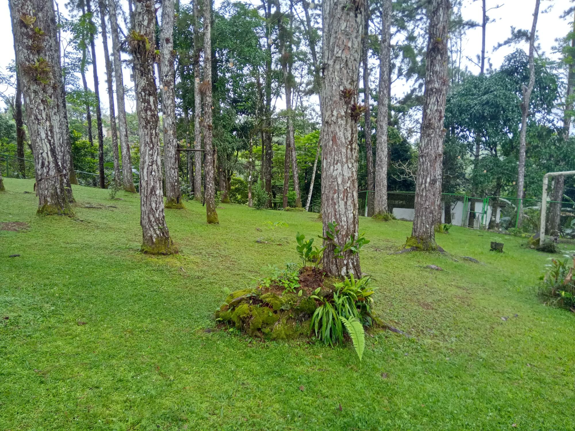 res-0000593f-09.jpg