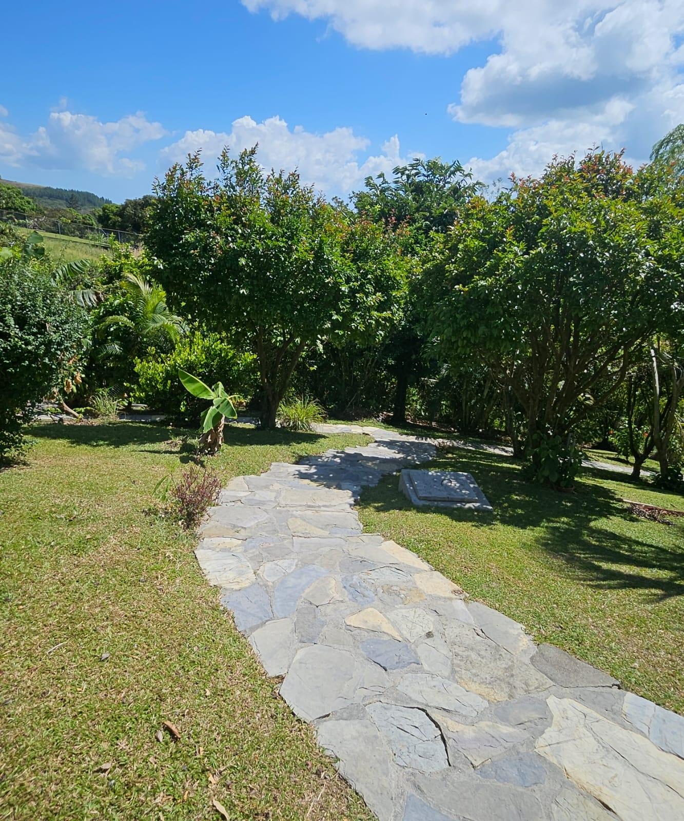 res-0000597f-01.jpg