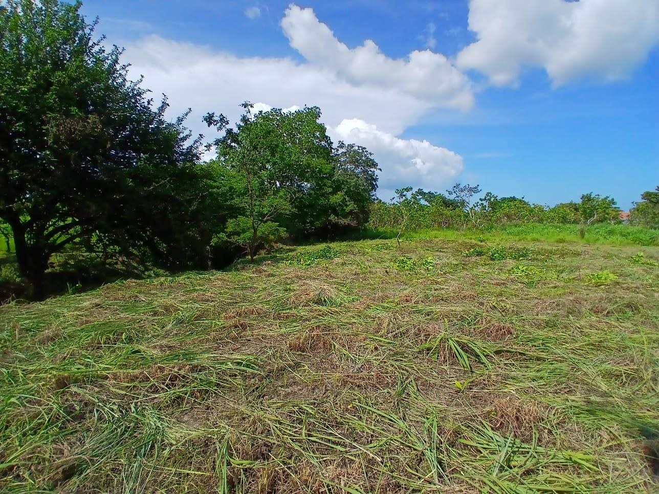 res-00005a0b-01.jpg