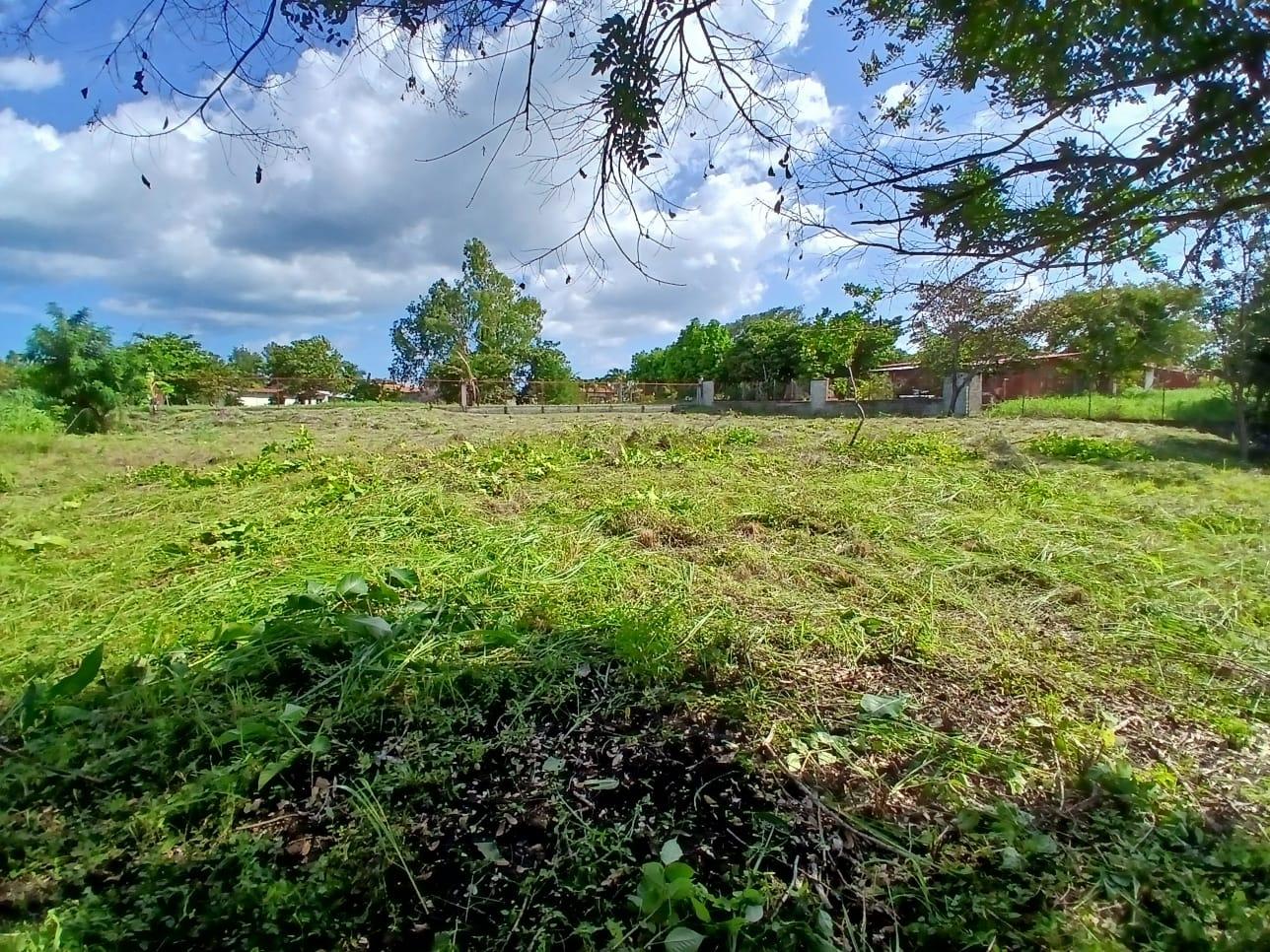 res-00005a0b-04.jpg
