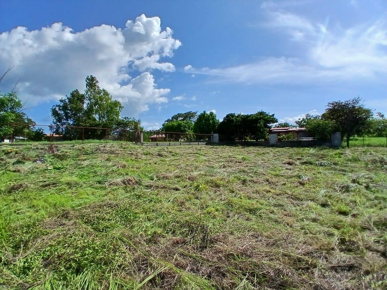 res-00005a0b-08.jpg