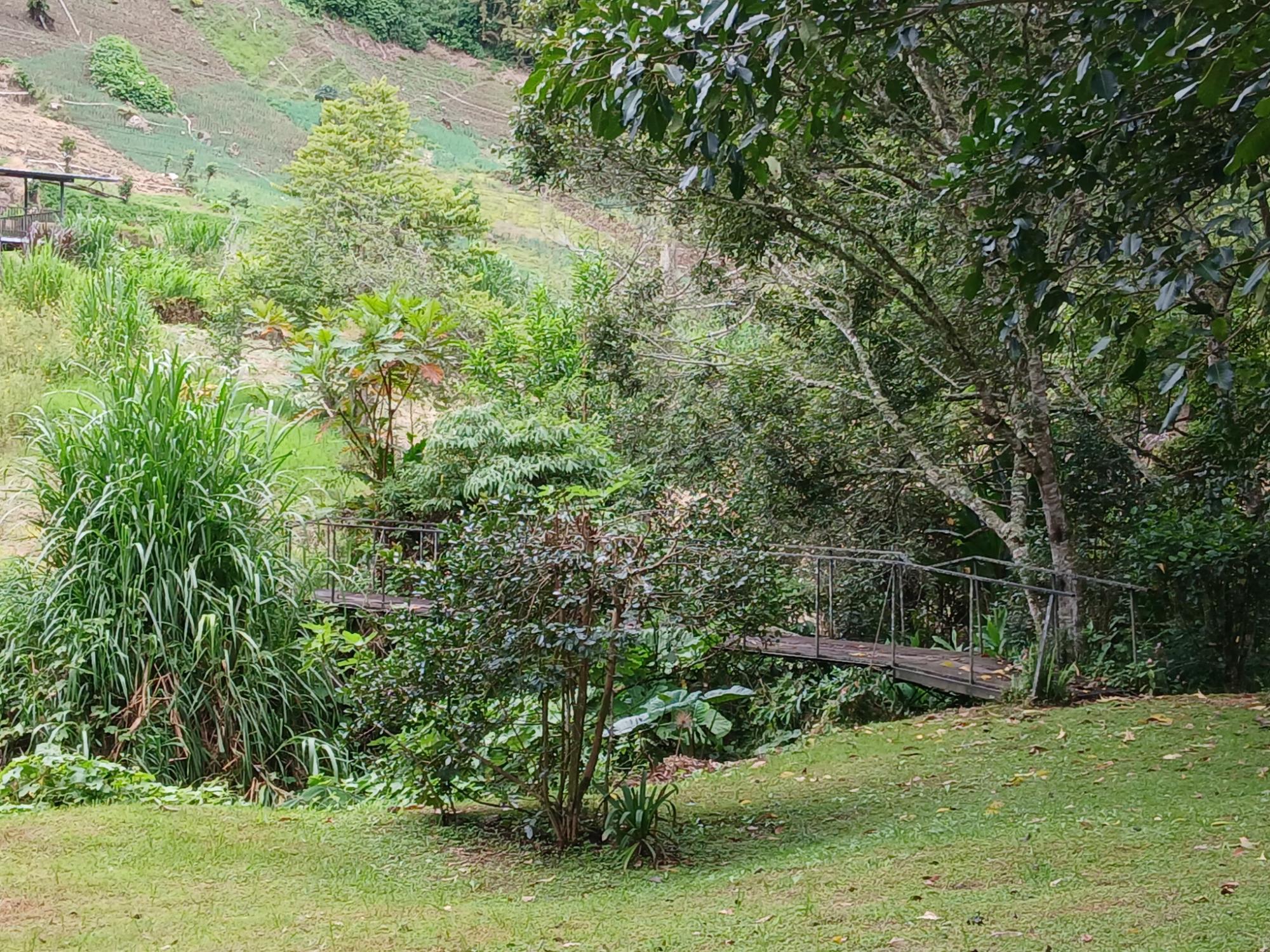 res-00005a79-08.jpg
